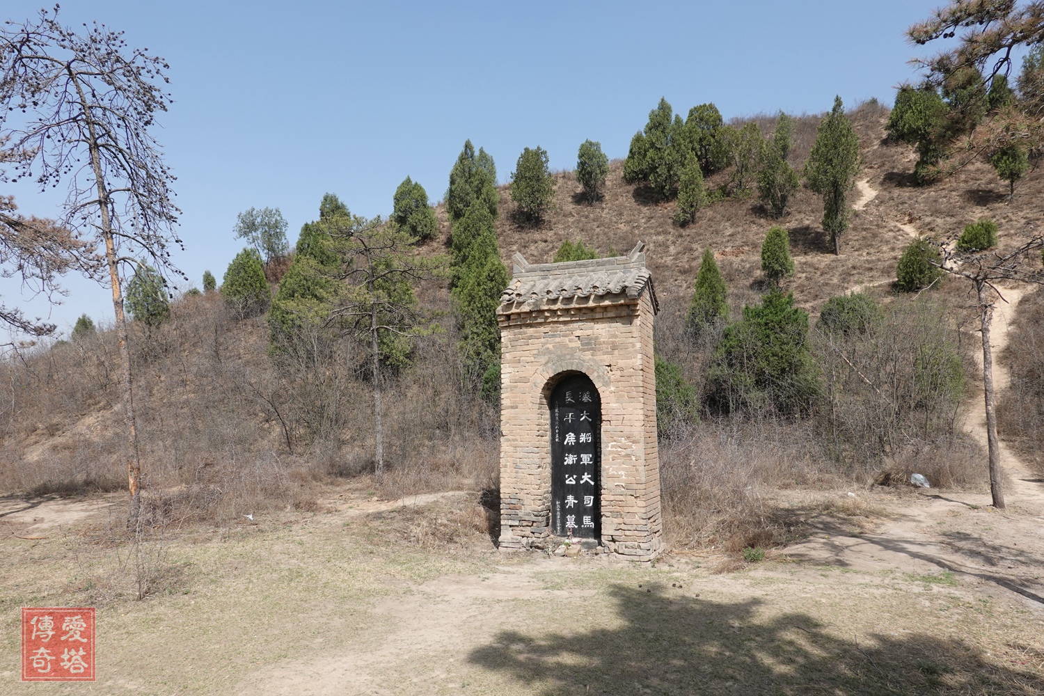 2020年经典电视剧有哪些,2020年将要播出的电视剧有哪些