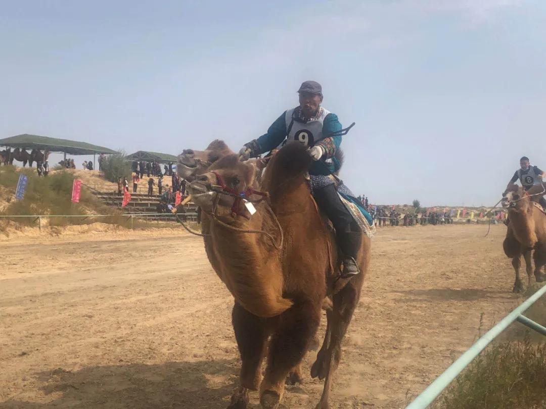 赛马比赛马背上的民族,马背上的民族赛马威武