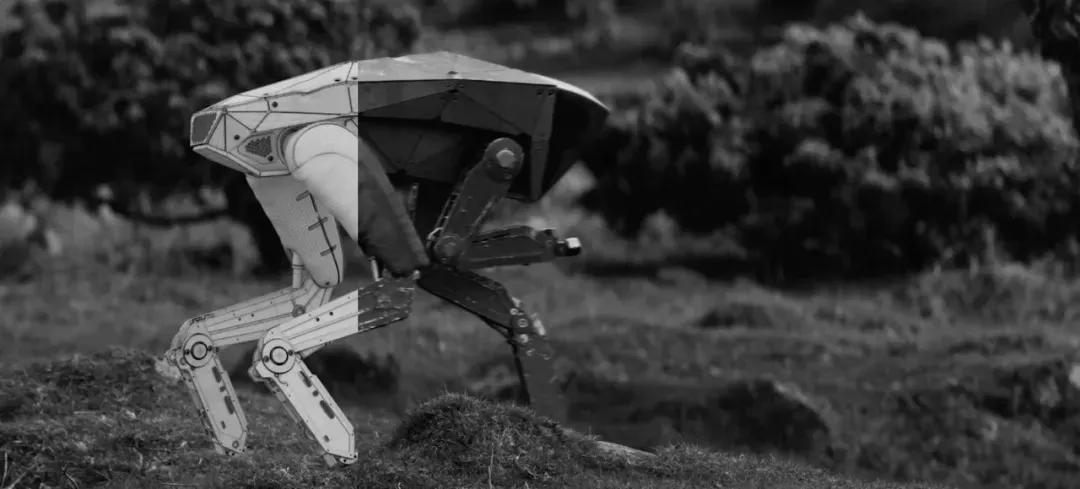 53万一只，波士顿动力机器狗也赶618开卖？淘宝百万代购已上线