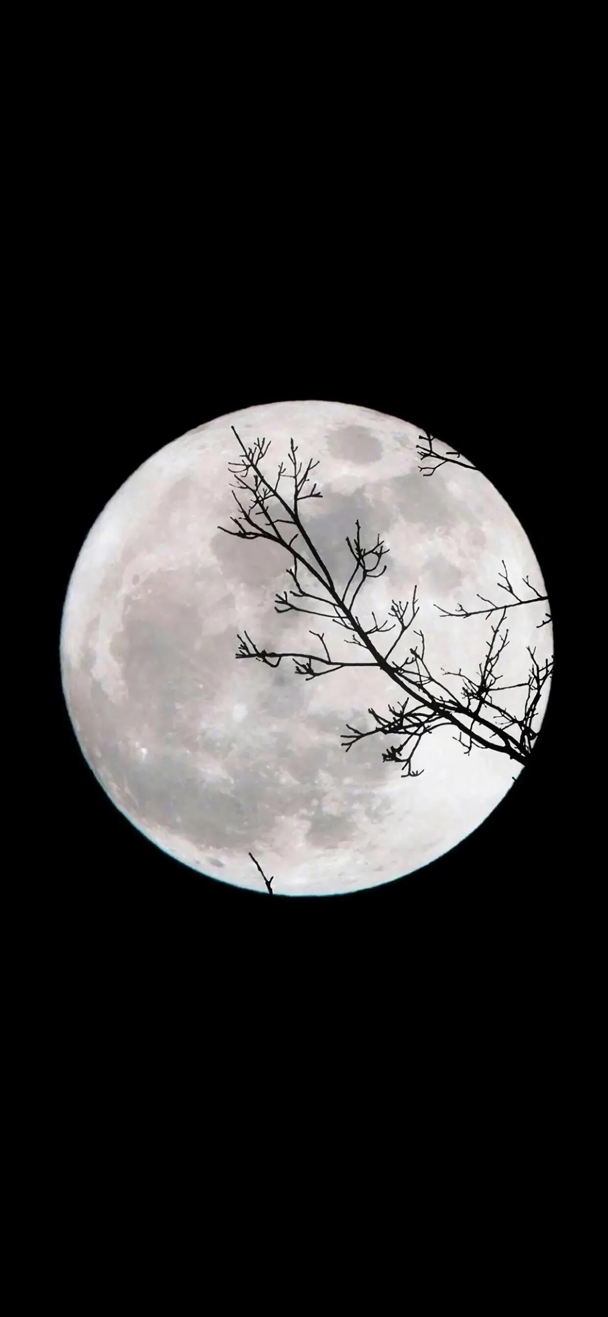 iphone斯莱特林暗黑系壁纸,暗黑系supreme壁纸腰果