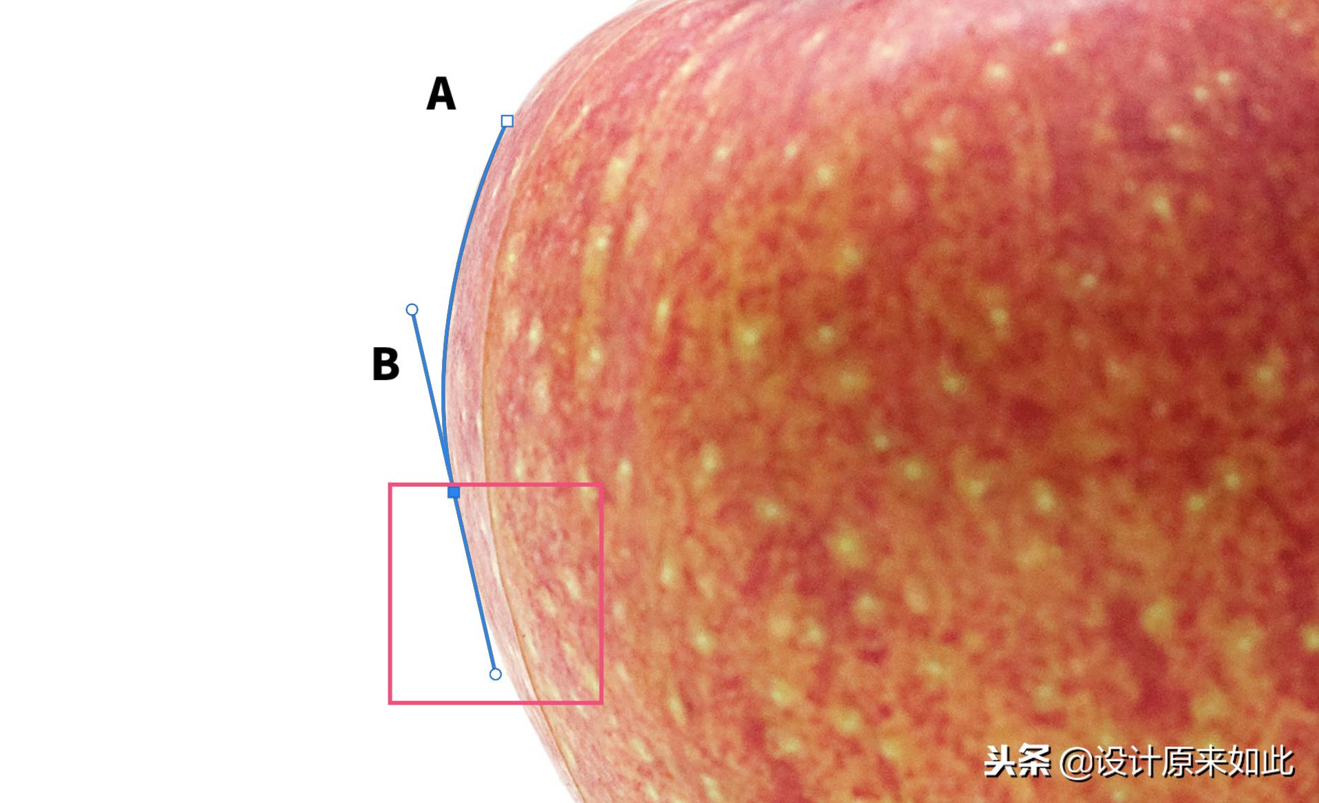 ps钢笔工具抠图教程详细步骤,苹果电脑ps钢笔工具怎么抠图