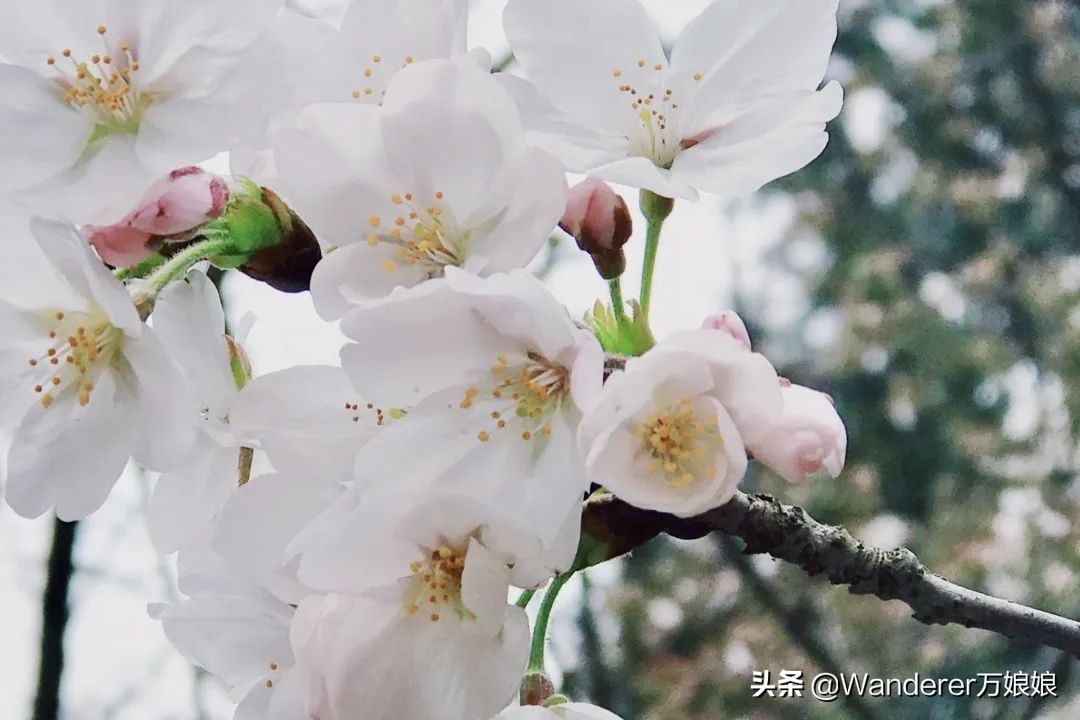 各地高三开学时间最新消息,最新各个省份高三开学时间
