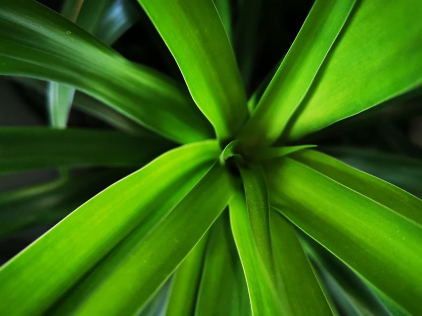 人教版中考成语题库,人教版初中语文成语选择题及答案