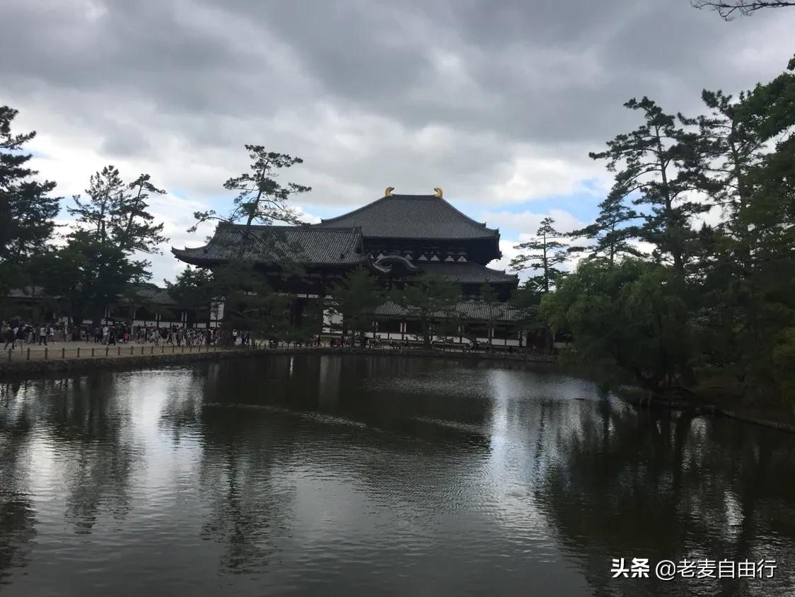 奈良小鹿日本游,日本奈良小鹿攻略