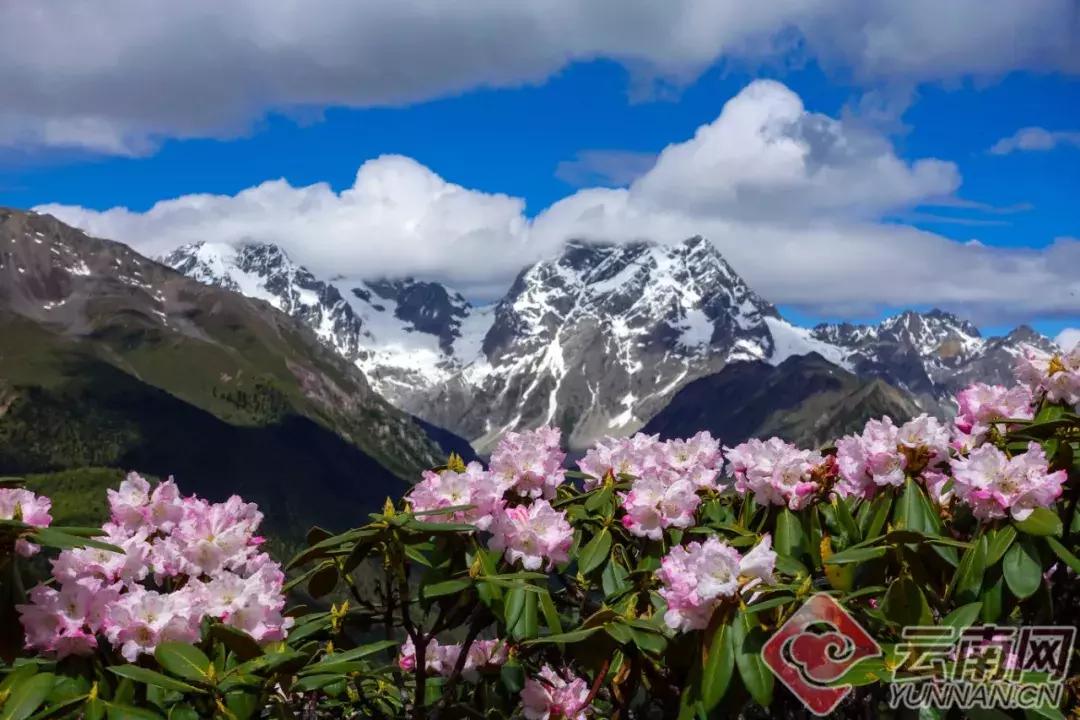 云南的火车票,去云南的火车票抢不上怎么办