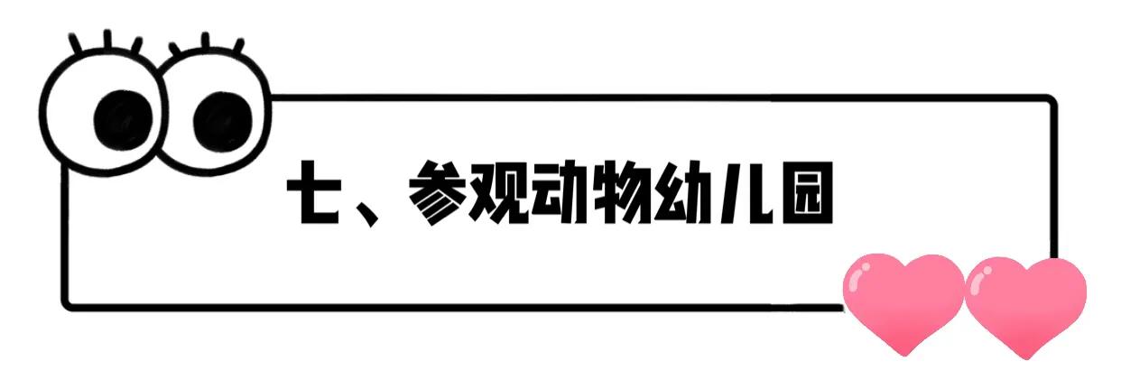 长隆飞鸟乐园拍鸟攻略,广州长隆飞鸟乐园可以摸哪些鸟