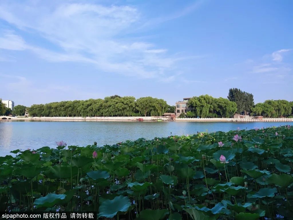 北京游避坑指南干货满满,第一次来北京一日游最佳攻略