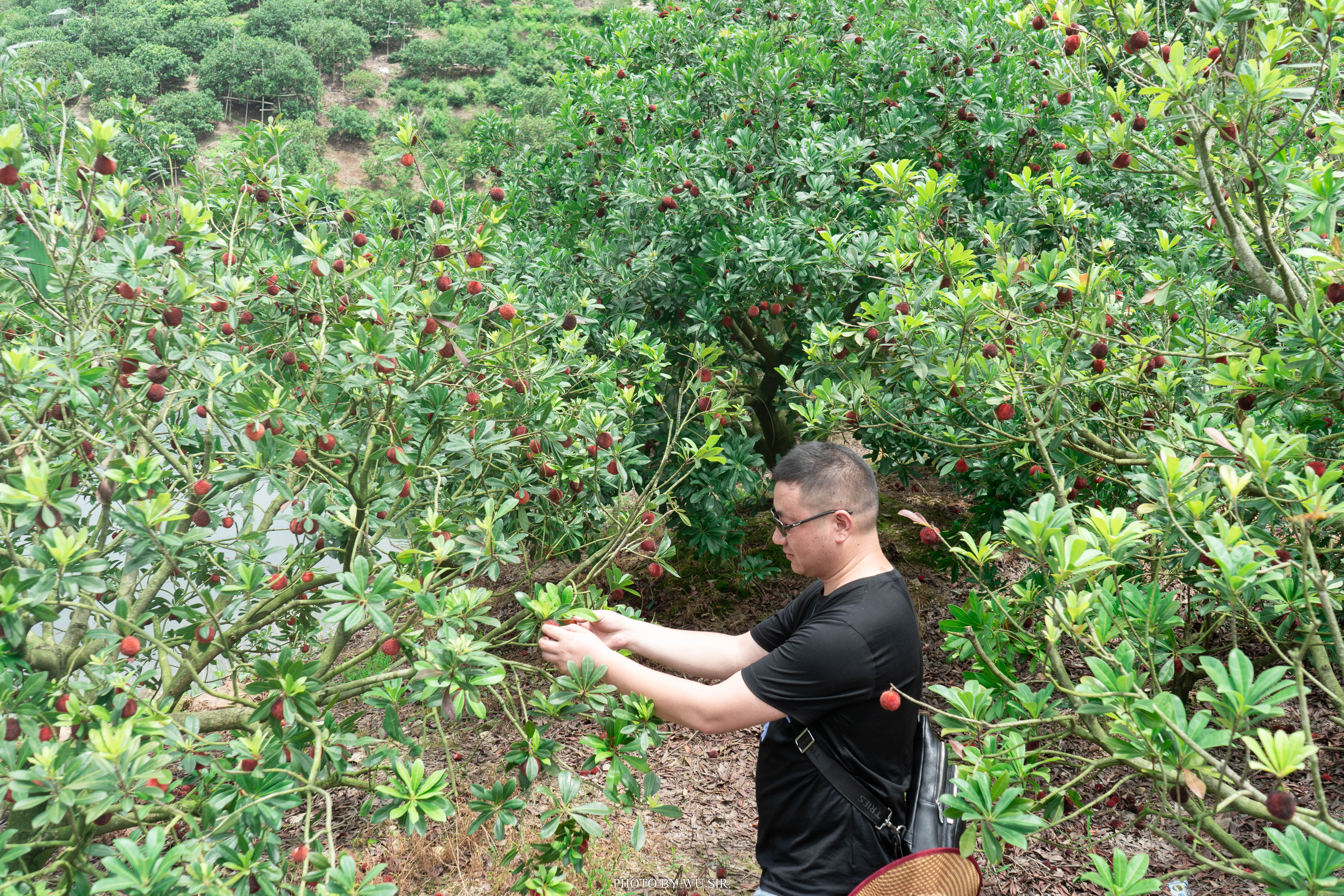我与临海的三天两夜：从自然走向人文，从人文体悟生活