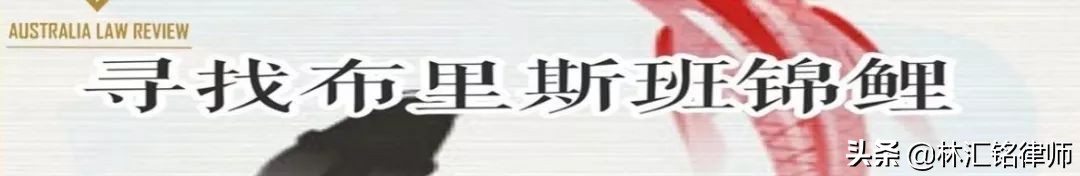 电商法淘宝个人卖家怎么处罚,新电商法对好评的处罚