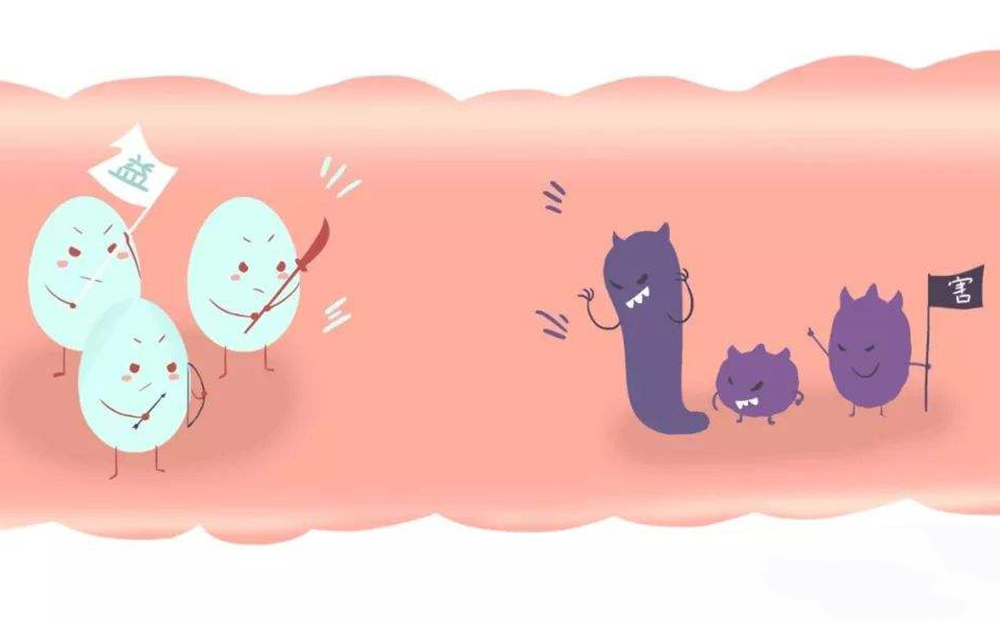 小儿夏秋之季饮食,换季要给孩子吃些什么好