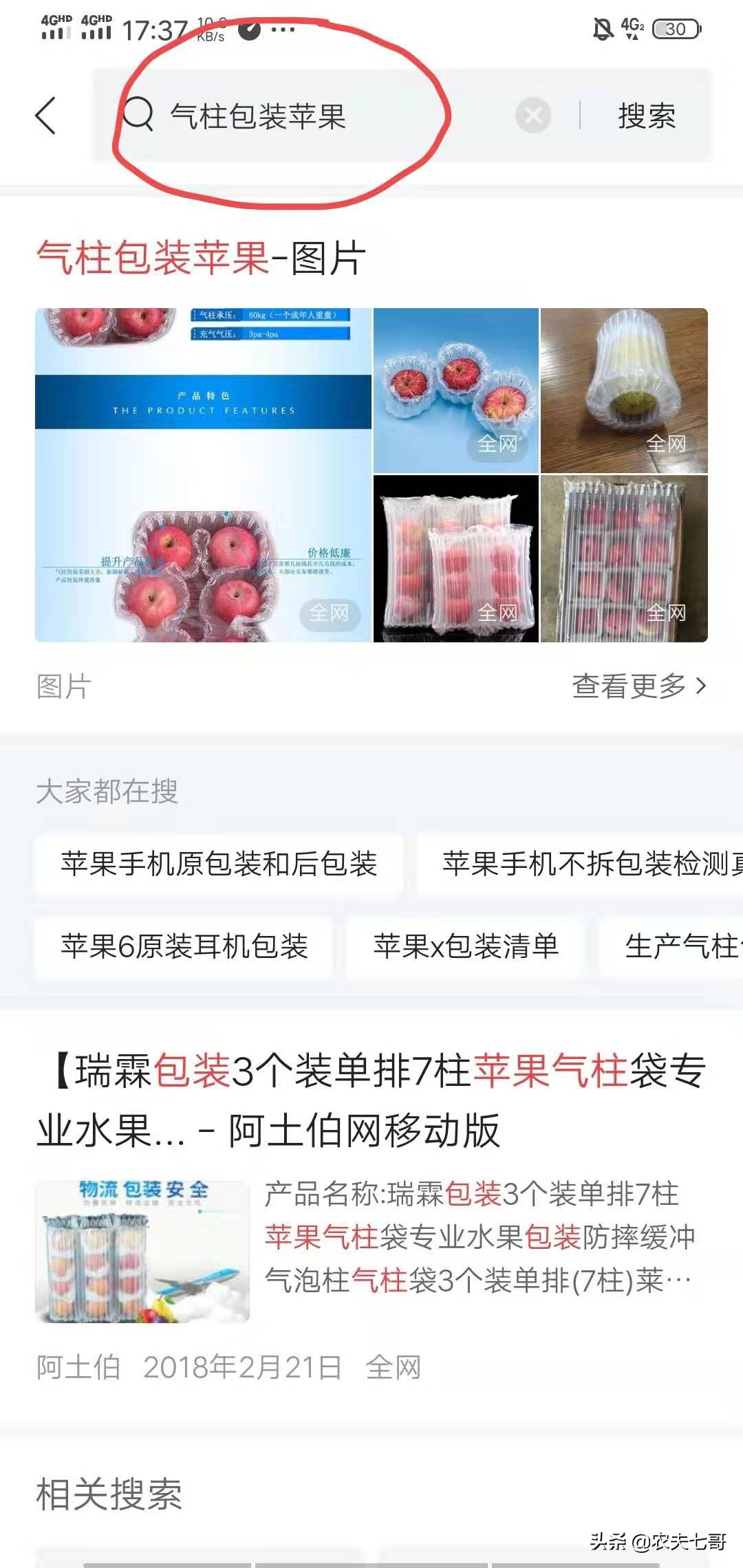 苹果怎么快速打包到果袋,苹果果农套袋子最快方法