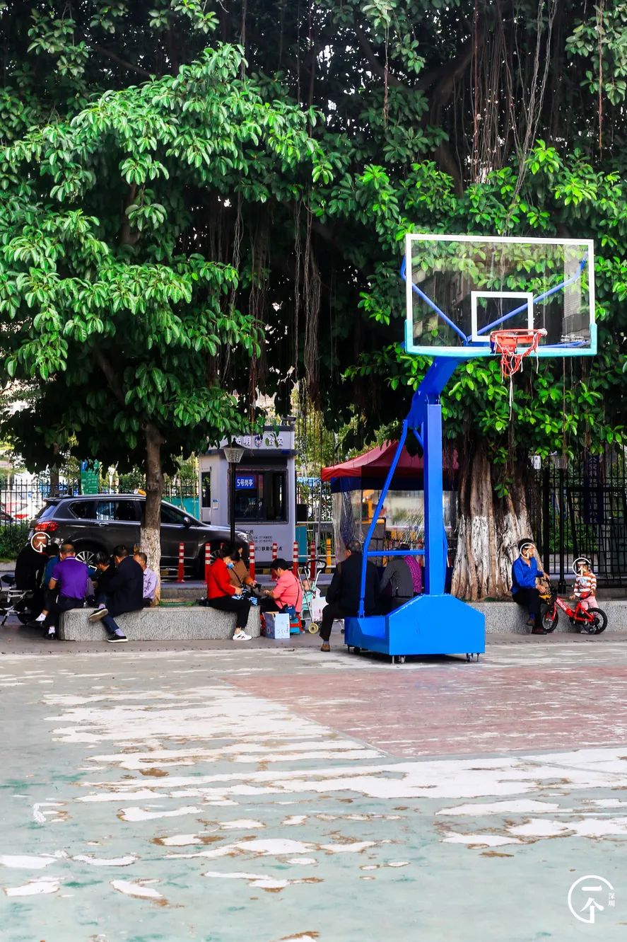 如何在深圳找租房,深圳还有月租300元的房子吗