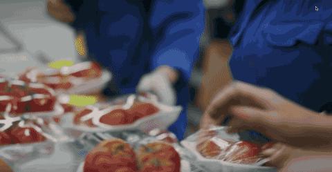 彭于晏苏有朋,彭于晏和苏有朋