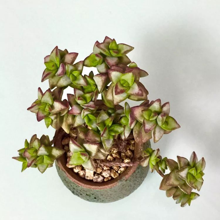 记录走过的美景留下美好的回忆,记录走过的每一段美好时光