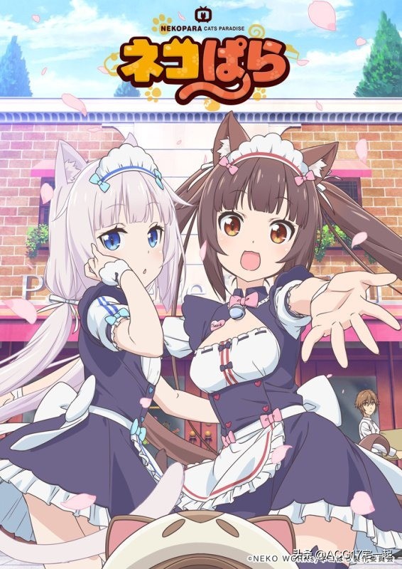 又要吸猫啦！《巧克力与香子兰》TV动画化決定！特报影像公开