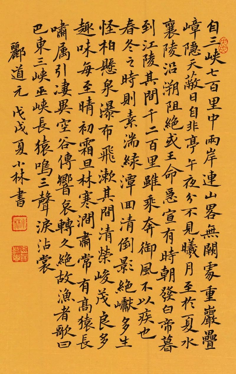 放学回家作文,走在放学回家的路上作文