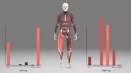 无器械腿部训练方法,器械锻炼腿的器材