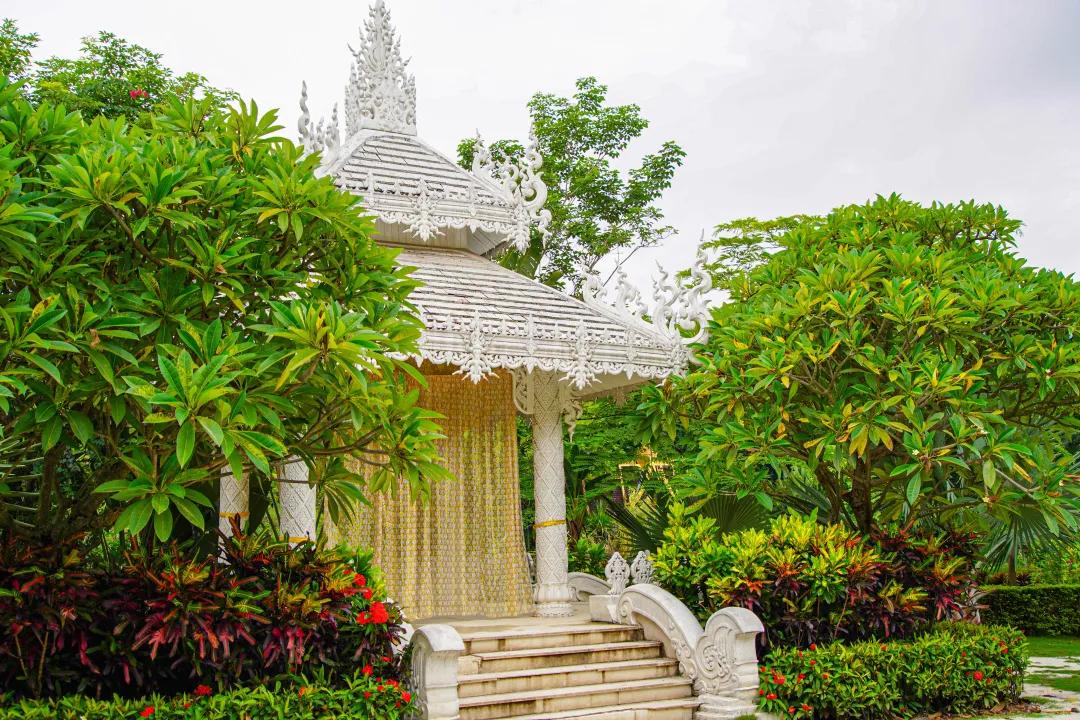 打卡中老铁路,曼听公园网红打卡景点