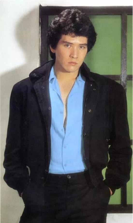 男明星费翔,费翔荧幕变化