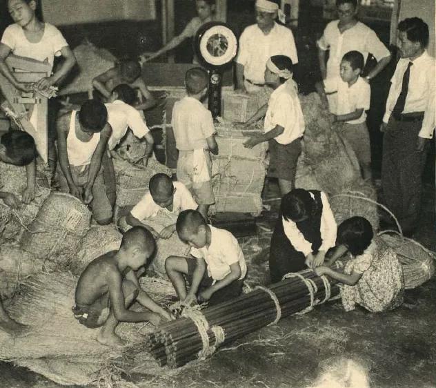 战火中的日本人有多惨？小学生都要当苦力