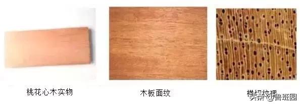 桃花心木花纹怎么鉴别,桃花心木有难闻的气味吗