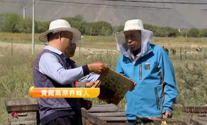 河南大爷创业视频,河南大爷一年收入