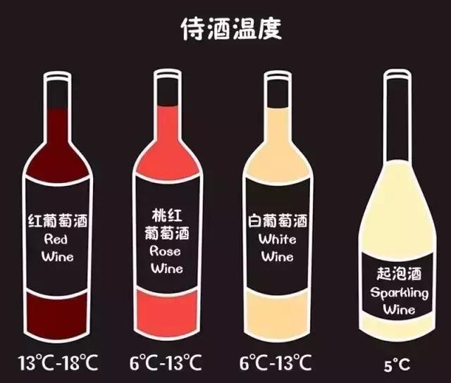 葡萄酒品酒知识,葡萄酒品酒大师