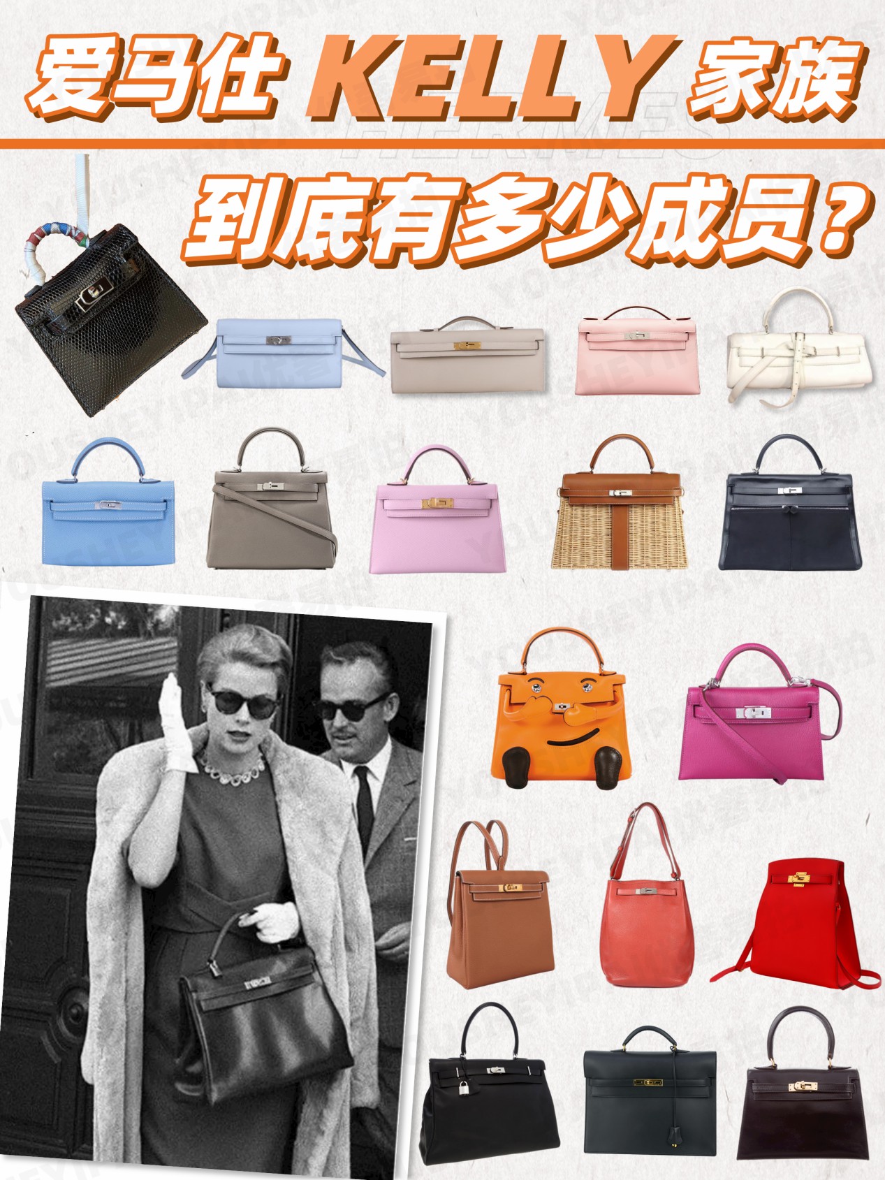 爱马仕kelly所有款式,爱马仕kellydanse包包价格