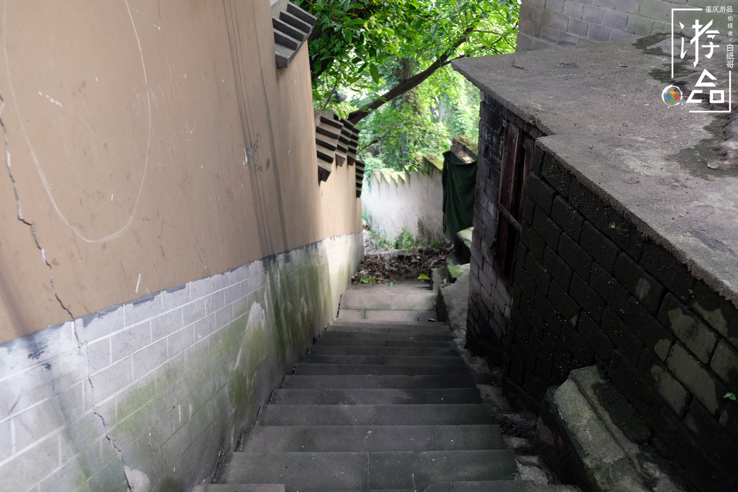 燕子岩重庆,重庆燕子岩风景区