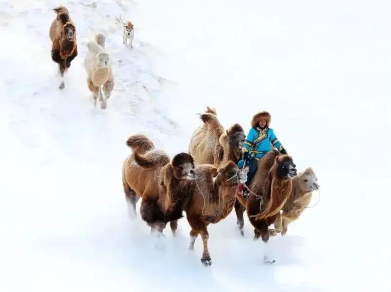冬已至雪花飘,通辽玩雪