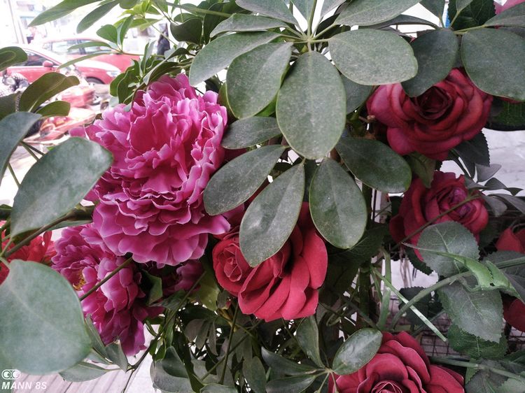 手机掉水里当场拿起来,手机掉入水中还可以正常使用