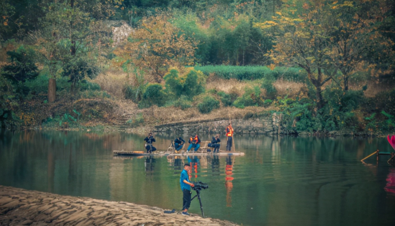 丽水上热搜,浙江丽水现萤火虫星海