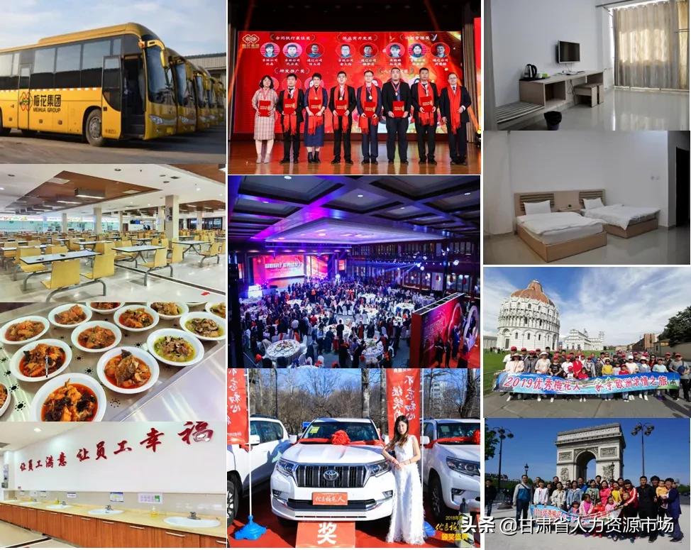 梅花氨基酸招聘,梅花氨基酸有限公司的招聘