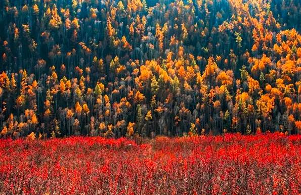 阿勒泰秋季旅行,新疆旅行阿勒泰秋天