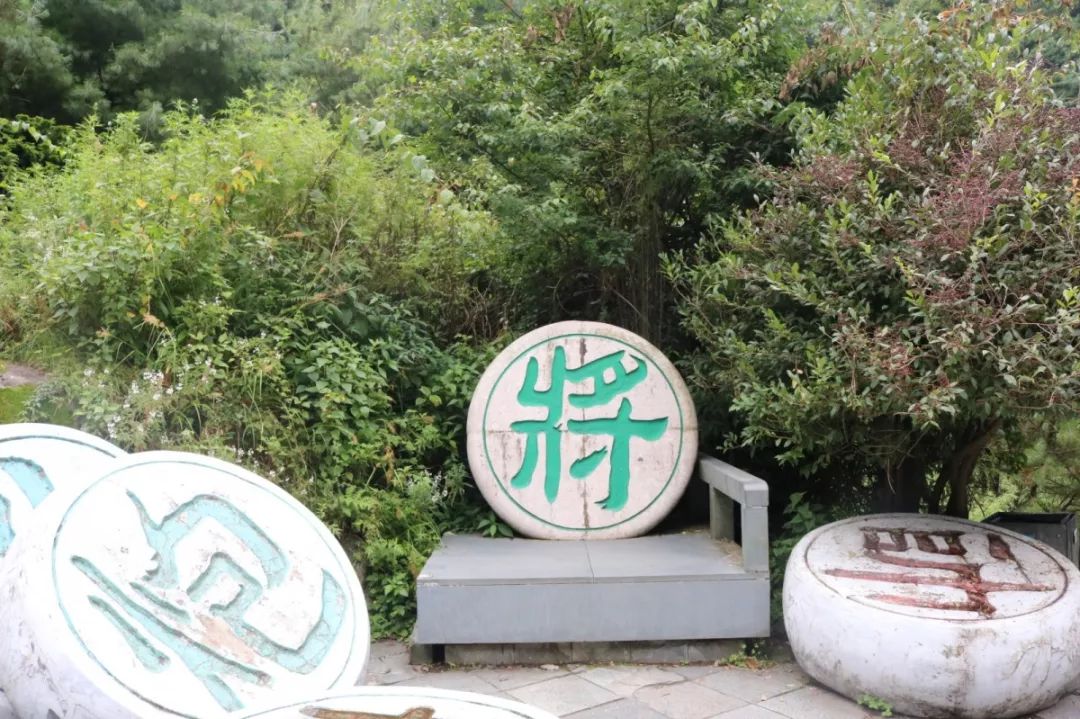 避暑攻略｜夏季均温19℃的大理苍山，才是当之无愧的纳凉避暑地