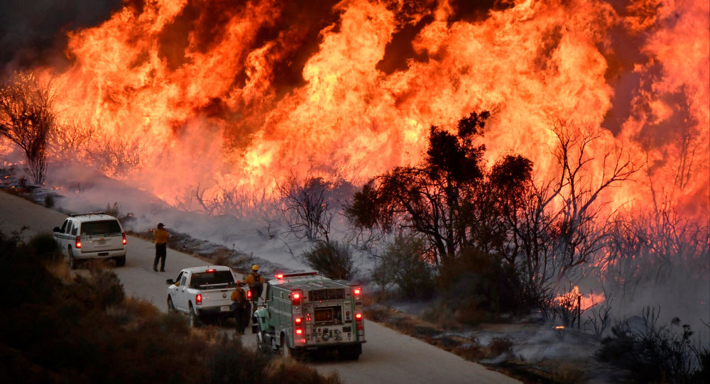 世界上最丑的鸟类有啥,世界最丑的鸟
