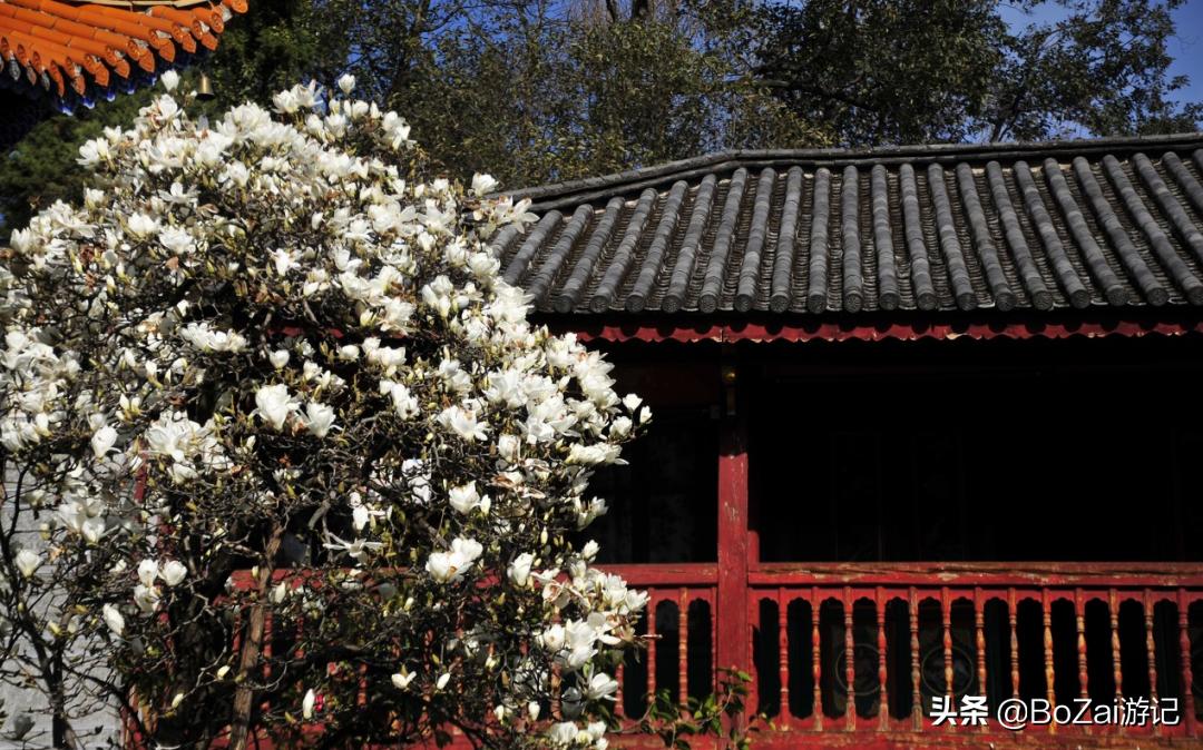 来云南大理旅游攻略必去景点,云南大理十大景点旅游攻略