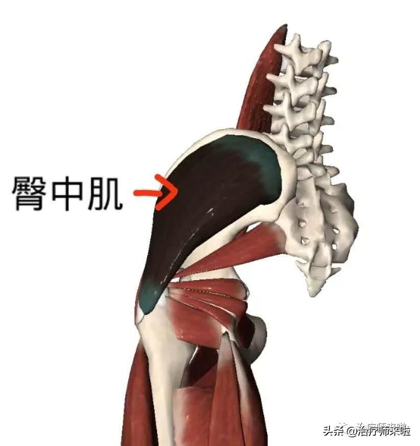 怎么让腿型改正,怎样使腿型变直