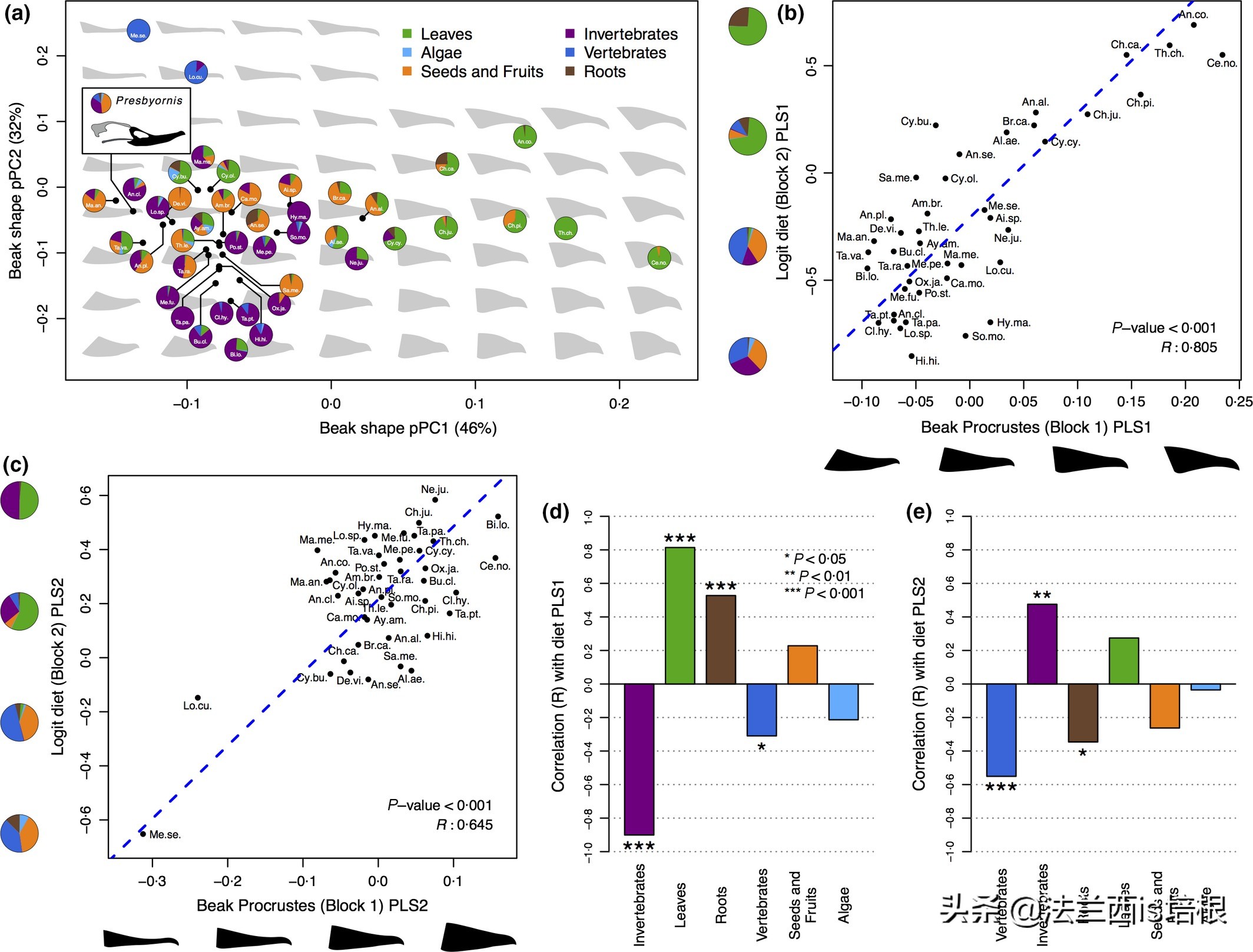 鸟嘴和人嘴有何不同,鸟喙和鸟嘴一样吗