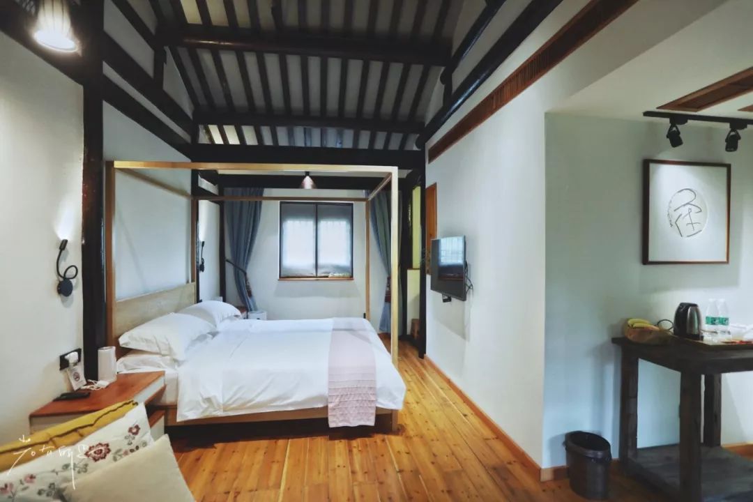 三月赏花一日游上海景点,本月上海赏花一日游最佳去处