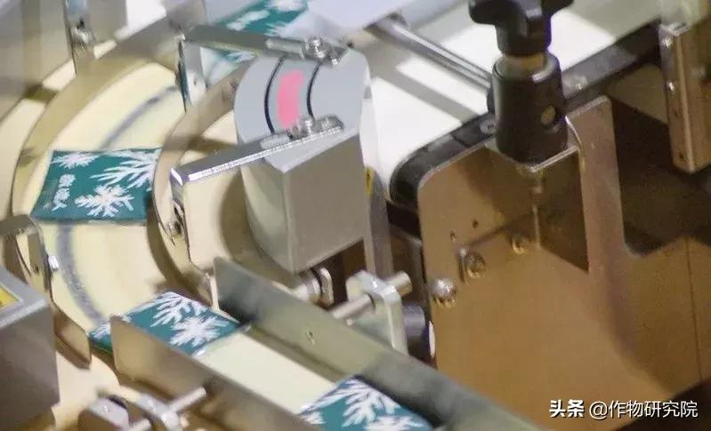 日式网红薄饼干,日本饼干伴手礼