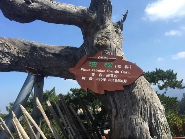 华山自驾最惊险的道路,华山最惊险的公路