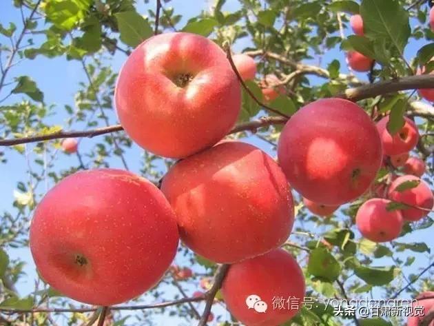 甘肃兰州最大的区,兰州最大的区是哪个区