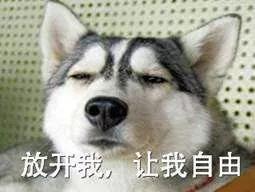 女生穿姨妈巾的正确用法,女生姨妈巾正确的用法