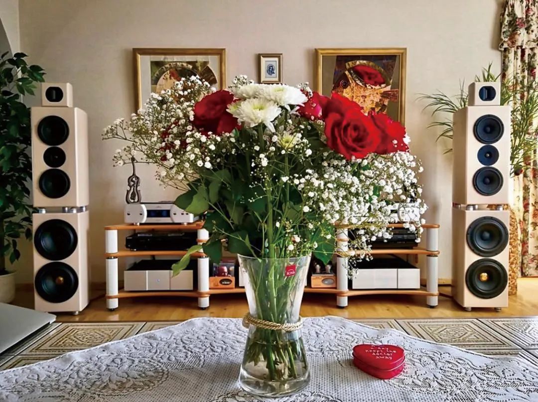 超级巨星中国演唱会,超级巨星回老家