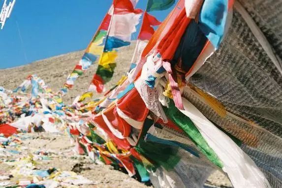 不得不了解的冷知识,旅行保命冷知识