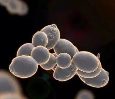 平价款前男友面膜,和前男友面膜差不多的面膜