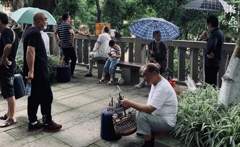 重庆55个景点免费游玩有哪些,重庆五一自驾游1天最佳路线