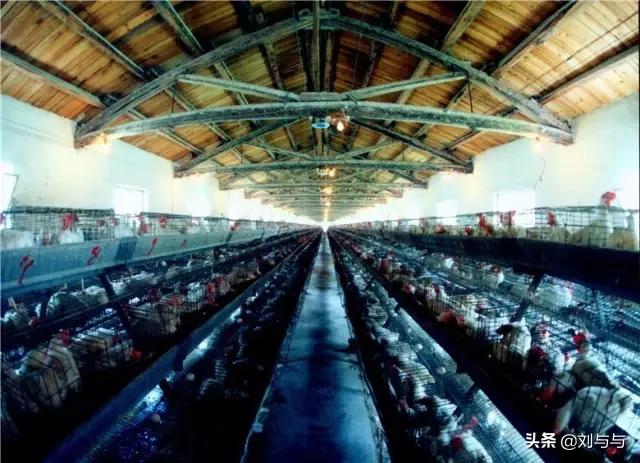 兖州煤业有限公司兴隆庄煤矿,兖州兴隆庄煤矿煤炭可采量