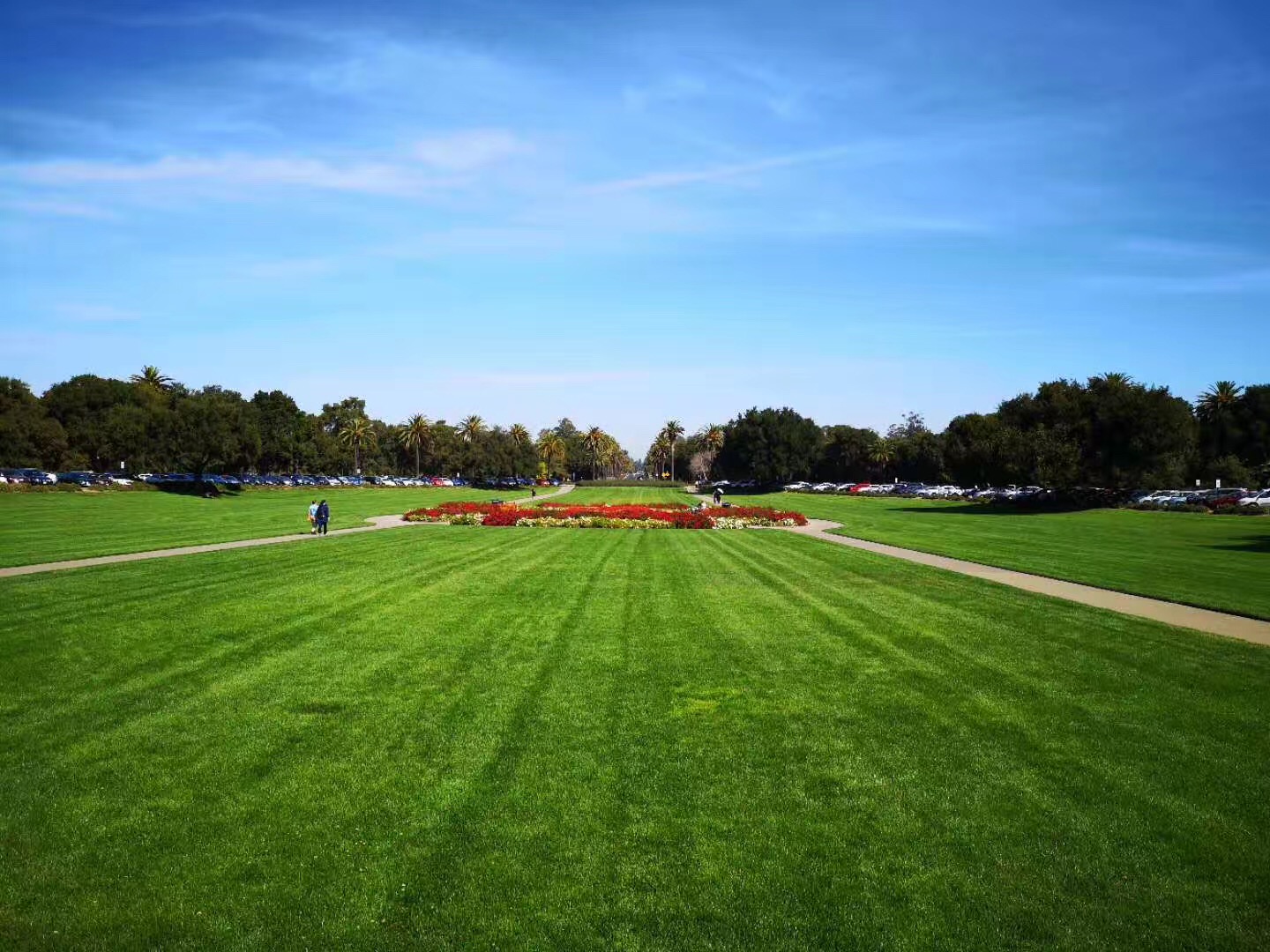 美国留学i20需要核对哪些信息,美国留学i20被终止可以回国吗